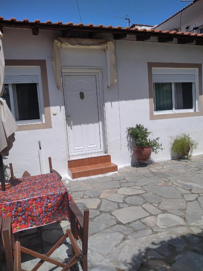 Villa Konstantina Nea Skioni Exterior photo